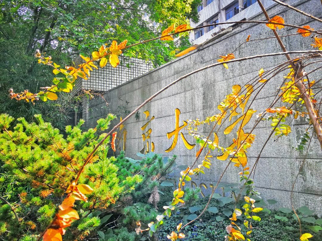 南京大学取消5考生拟录取
